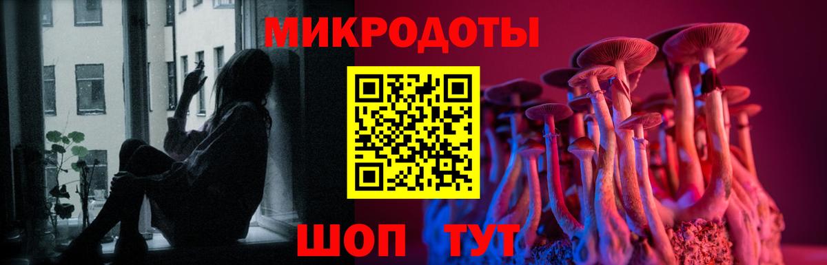 Псилоцибиновые грибы прущие грибы Ивантеевка